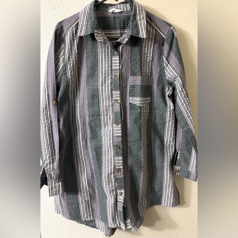 Ladies casual dress shirt.
